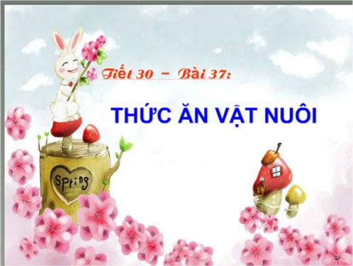 Thumbnail2