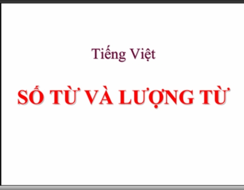 Thumbnail2