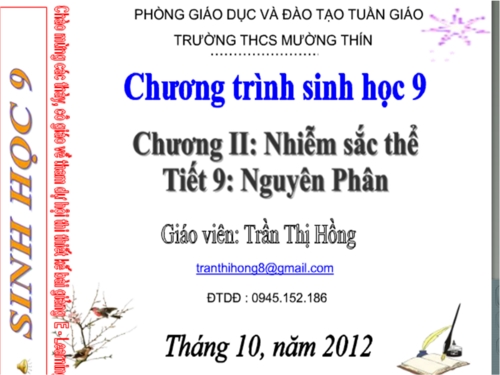Thumbnail2