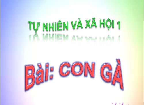 Thumbnail2