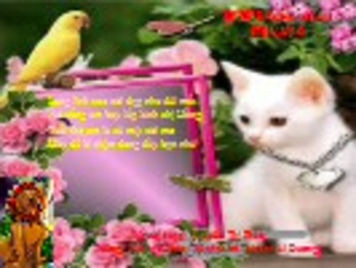 Thumbnail2