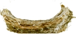 Tochim2.png