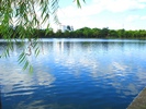 DSC09803.jpg