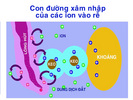 5_con_duong_xam_nhap_ion_vao_re.jpg