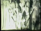 Clip_Nhung_van_tho_chuc_tet_cua_Bac.flv