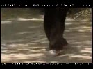BaoBinhDinh__V_tham_vung_dt_Vo_phn_3.flv