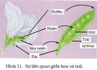 Ch2_003.jpg