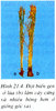 Dot_bien_gen_o_lua_b_lam_cay_cung_va_nhieu_bong_hon_o_giong_goc_a.jpg