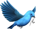 Birdindigobuntingwithribbon.png