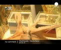 Ro_tin_don__bach_tuoc_phan_Duc_thua.flv