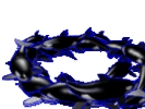 Picture246.gif