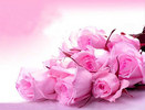 Flower21.jpg