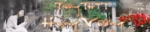 Banner.gif
