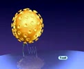 Hiv.flv