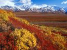 Webshots_2_003.jpg