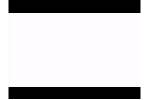 YouTube__Ferocious_WHITE_SHARK_Fast_Killing_Machine.swf