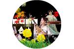 Hoa_tau_dan_tranh_3.swf