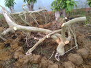 19042011049.jpg