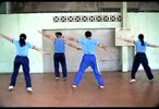 TDND11.flv