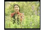 Mua_xuan_nho_nho__Ngam_tho.swf