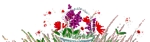 Blume1002.gif