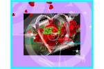 NGAI_NGUNG.swf