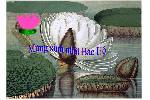 Mung_sinh_nhat_Bac_Ho.swf