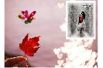Tinh_nho2.swf