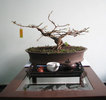 20090204143650.jpg