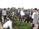 Chung_kien_cua_Ban_giam_hieu_hai_truong_THCS_Thach_Kim_Va_Truong_THCS_Phan_Huy_Chu_Thach_Ha.jpg