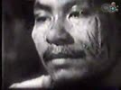 265546.flv