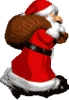 Noel.gif