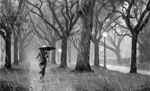 1636052h835jvoszs1.gif