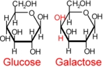 Glucose_Galactose.gif