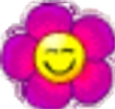 HOACUOI.gif