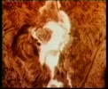 Mattroi.flv