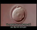 Thu_tinh.flv