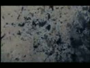 Cuoc_chien_tranh_mua_dong__Phan_19.flv
