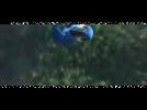 Phim_Chu_vet_RIO_tap_9.flv