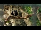 Soc_sieu_quay_2__tap_7.flv