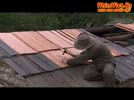White_Fang__tap_14.flv
