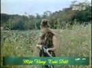 Robinson_tren_hoang_dao__tap_5.flv