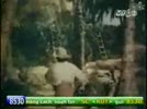 Robinson_tren_hoang_dao__tap_7_end.flv