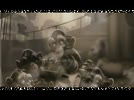 Phim_truyen__Meo_Rung_hh__p_5.flv