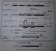 20130817_1809081.jpg