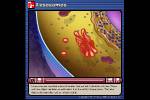 B1lyzoxom.swf