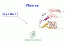 Cung_phan_xa.flv