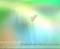 Phim_ve_Qua_trinh_nguyen_phan.flv