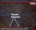 Sao_chep_ADN.flv