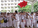 IMG6654_6553a.jpg